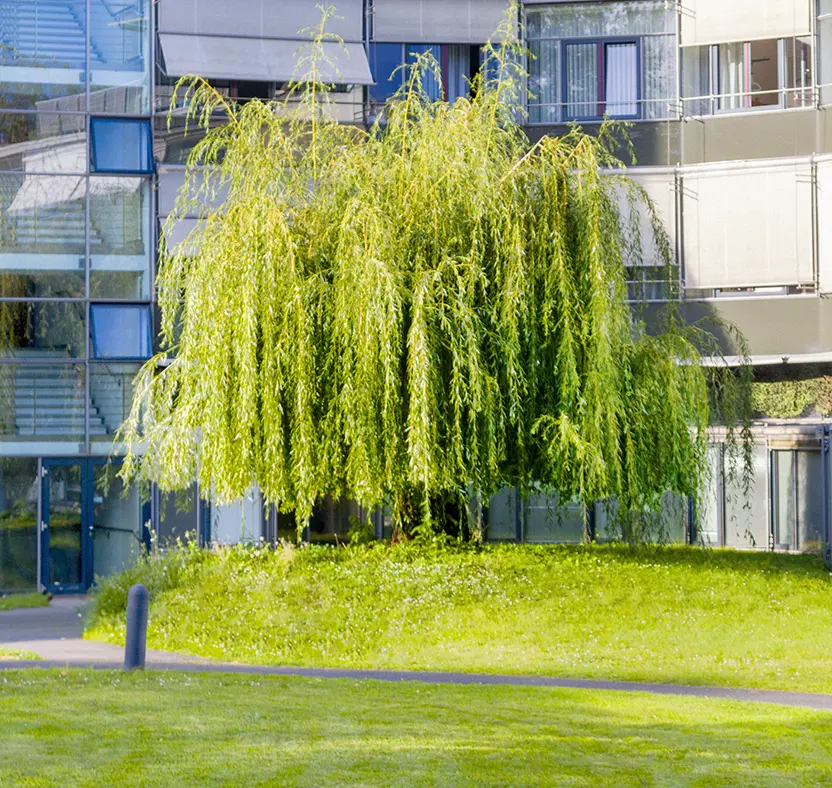 Kaiser-Karl-Klinik Bonn Über uns