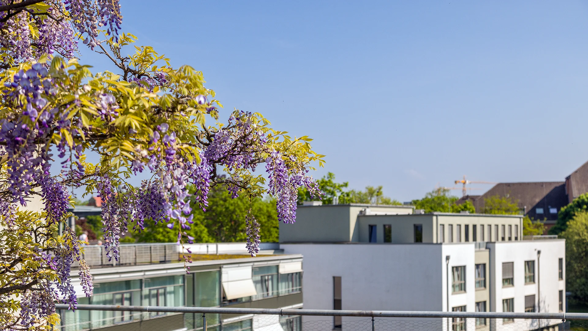 Kaiser-Karl-Klinik Aussicht Terrasse 